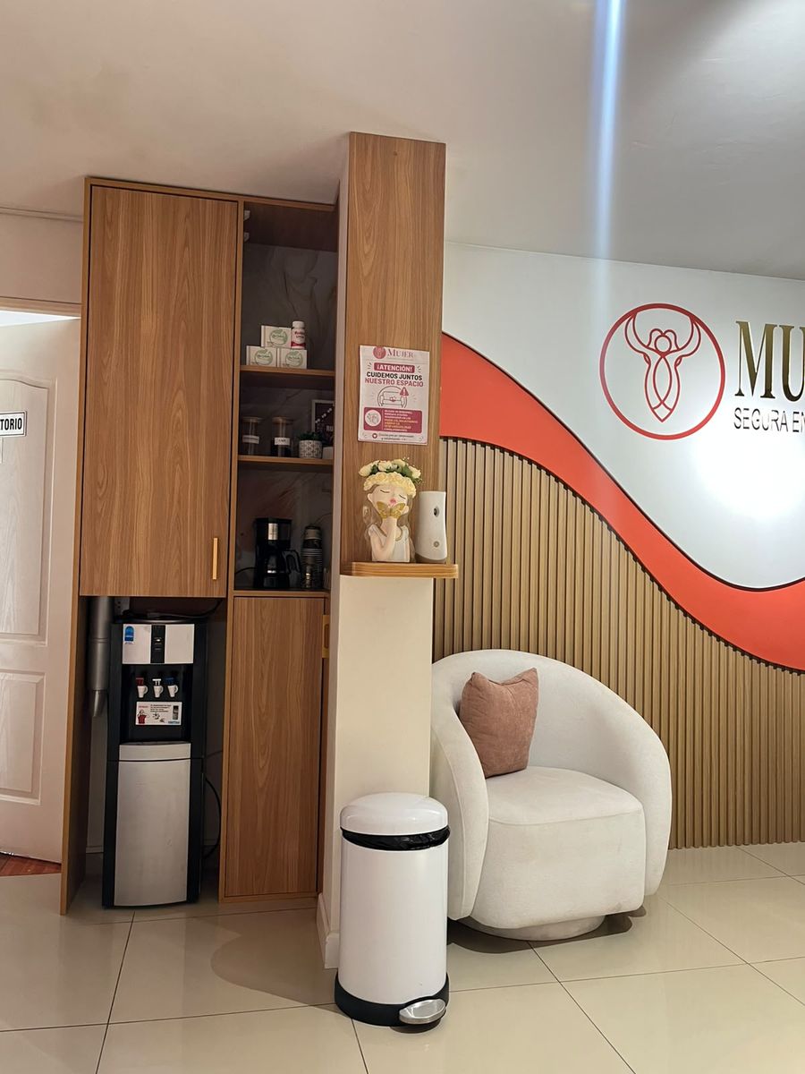 Recepción del consultorio con mueble de madera, sillón curvo claro y la pared de marca en terracota